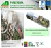 Seminario Internacional sobre Incendios en la Interfaz Urbano Forestal. (Tarde)